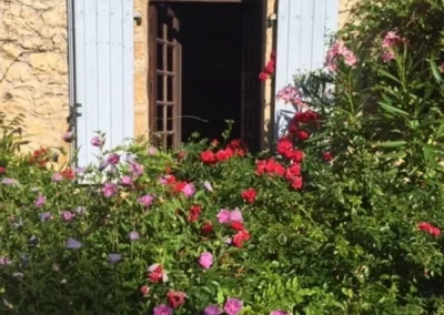 living room window surrounded by flowers