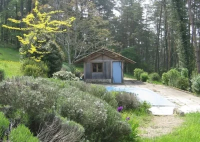 Pool and poolroom (recently renovated)